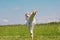 Teenage girl training karate kata outdoors, performs the yoko geri kick with kiai