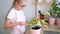 A teenage girl transplants a coleus flower, puts the soil with a scoop in a pot.