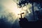 Teenage girls pray with a cross in a sunny nature. The girl sat in the green forest with sunlight.