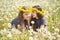 teenage girls on a walk with their sister and dog in a summer field with dandelions sunny day