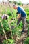 Teenage son helps father look after tomato sprouts