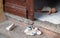 Teenage  used shoes outside the back door  entrance of a house