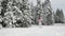 Teenaged girl enjoying while skiing in winter time