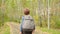 Teenager boy with backpack walking on path in autumn park. Back view boy teenager gin on road in city park at autumn