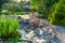 Teenager cleaning pond with landing net