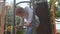 A teenager climbs down on the children's playground. Body training, dexterity.