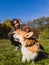 A teenager communicates with a corgi dog in a sunny autumn meadow