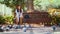 Teenager feeding two Pigeons with bread from his hands while sitting on a Bench. a Wild Bird sits on a Human and Eats bread from t