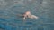 Teenager girl in googles swimming in floating pool. Happy girl swimming in blue water pool at resort hotel. Girl diving