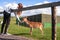 Teenager girl with long hair feeding small cute deer in a open zoo from her hand. Nature experience. Warm sunny day. Fun day out