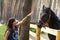 Teenager girl stroke black horse with halter close up summer photo