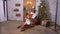 Teenager girls with lollipop posing on sleigh on Christmas tree background