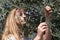 Teenager harvest green olives, portrait.