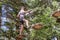 Teenager having fun on high ropes course, adventure, park, climbing trees in a forest