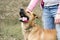 Teenager with her mongrel young dog with open mouth.