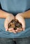 A Teenager Holding a Handful of Coins