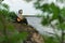 A teenager plays a guitar while sitting on the shore of a lake