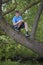 A teenager poses for a photographer while walking in the park. Climbed a tree and sits.