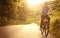 Teenager riding a bicycle on the road summer sunlit