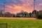 A teenager riding a skateboard in the skatepark surrounded by lush green grass, a black metal fence, bare winter trees