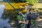 A teenager on a river casts a fishing rod to catch fish. Sport fishing on the river in summer