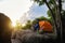 Teenager Travelers Pitch Vibrant Orange Tent on Cliff with a Natural View, Embracing Pristine Natural Views or Surrounded by