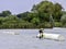 Teenager wakeboarding on a lake - Brwinow, Masovia, Poland