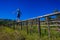 Teenager Walking Balancing Fence