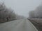 Teenager walks along the road alone on a foggy autumn day