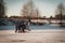 Teenagers frolic on the ice, winter fun girl skating