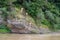 Teenagers jump from a cliff into a mountain river. Dangerous and extreme vacation on the beaches; Ukraine, Skole, July, 26, 2019.