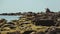 Teenagers Throw Rocks into Sea