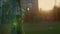 Teens play soccer across football goal at summer evening