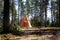 Teepee Cabin in Forest