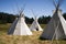 Teepee Camp In Meadow