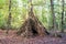 Teepee Shelter made of Branches in Green Forest at Fall