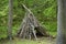 Teepee shelter made from stacked branches, Devi\'ls Hopyard, Conn