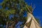 Teepees at a Date Farm, Death Valley