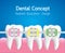 Teeth with Colourful braces, Dental care concept, Realistic Vector
