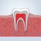 Teeth or dental illustration