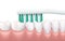 Teeth and gums brushing dental hygiene routine