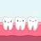 Teeth in the gums. Vector color illustration in cartoon style. Kawaii character. Children`s dentistry.