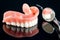 Teeth model showing an implant crown bridge model.