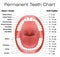 Teeth Names Permanent Adult Dentition Notation