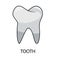 Teeth are one of the most powerful parts of the human body. Teeth are made of protein and minerals, as well as calcium. In general