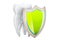 Teeth protection concept with shield, 3D rendering