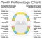 Teeth Reflexology Chart Description