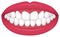 Teeth trouble  bite type / crooked teeth  vector illustration / even teeth., normal teeth