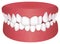 Teeth trouble  bite type  vector illustration /Crowding