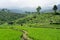 Tegalalang Rice Terrace most visited in ubud bali